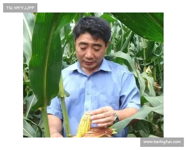 从换帅到蜕变:热夏提带领合肥狂风走出低谷,迎接崭新辉煌 从换帅到蜕变:热夏提带领合肥狂风走出低谷,迎接崭新辉煌