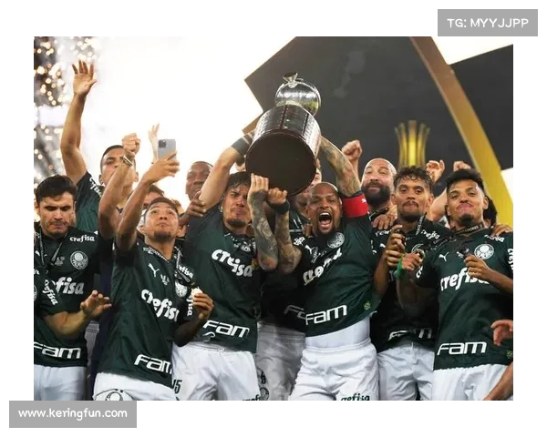 南美解放者杯戈多伊克鲁斯主场憾负